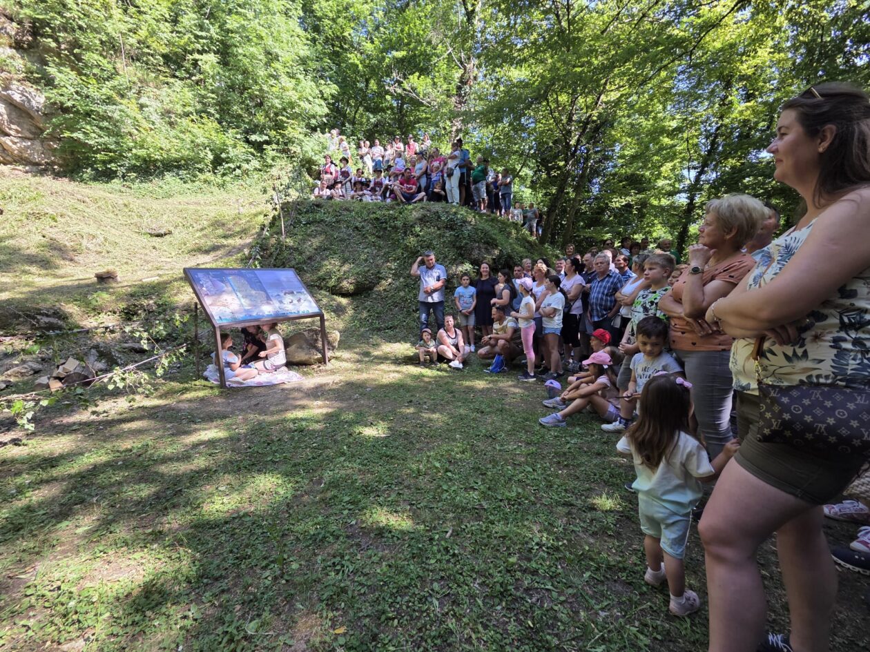 285c3405-bb2b-4e94-b77b-41dd02bddc82