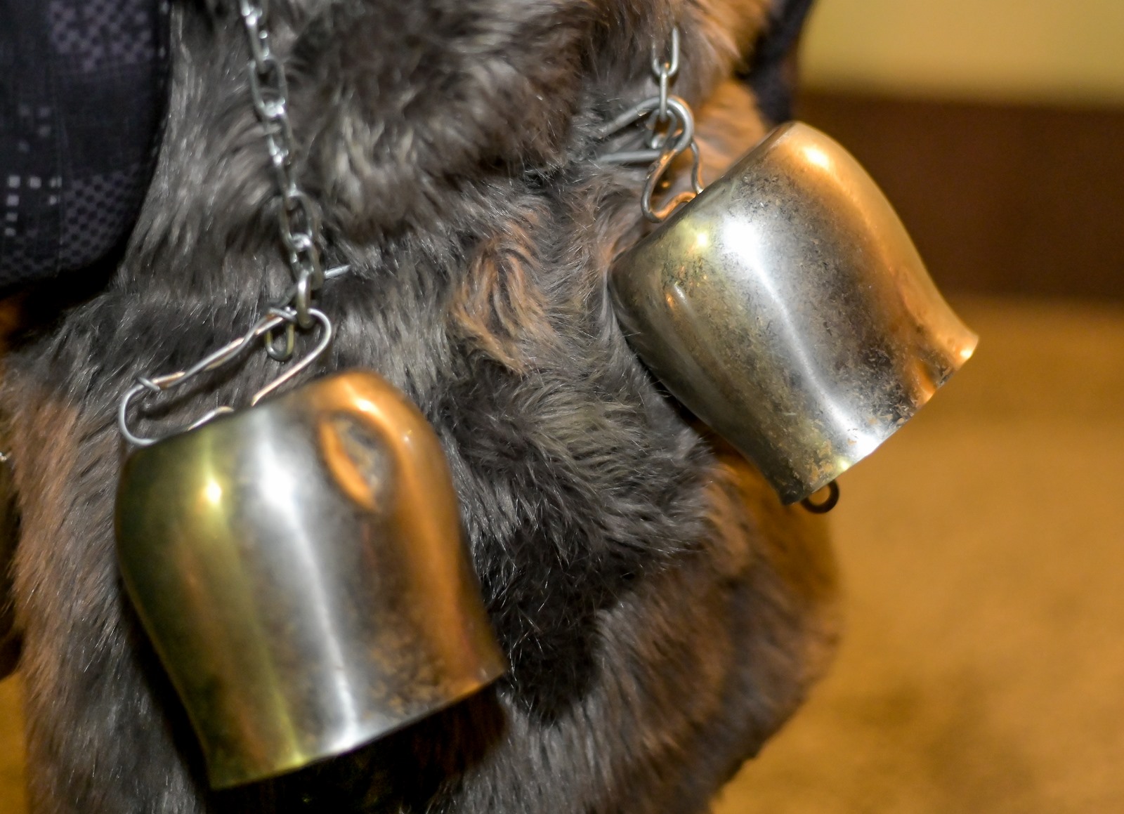 Petrijanečki kurenti