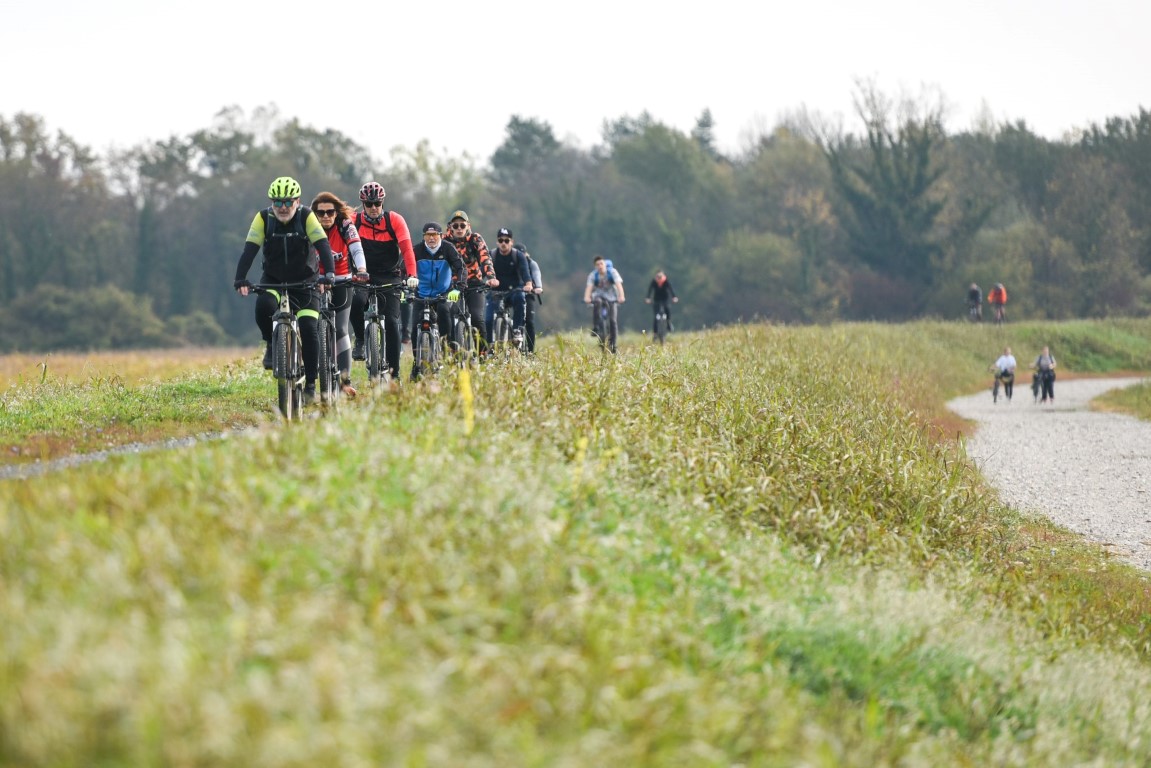 Image 5505992 (auto)