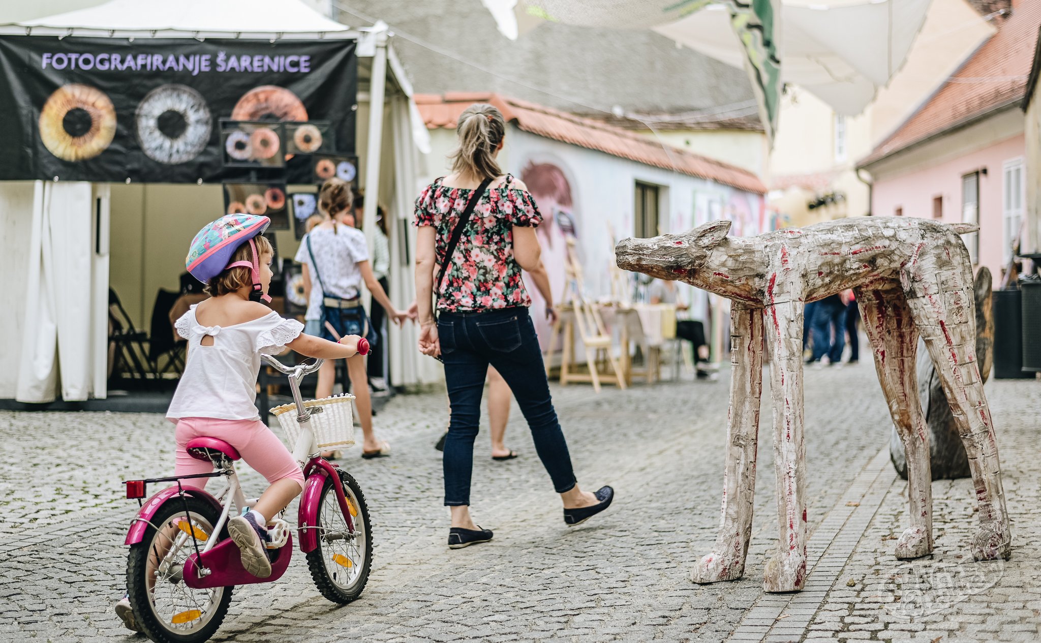 Image 5452758 (auto)