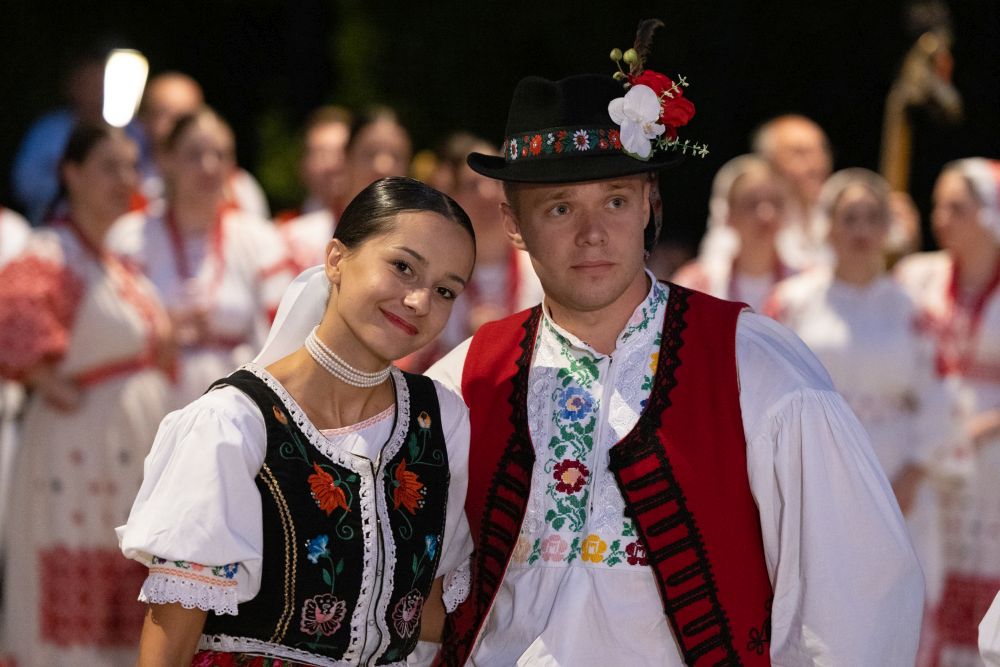 Image 5834261 (auto)