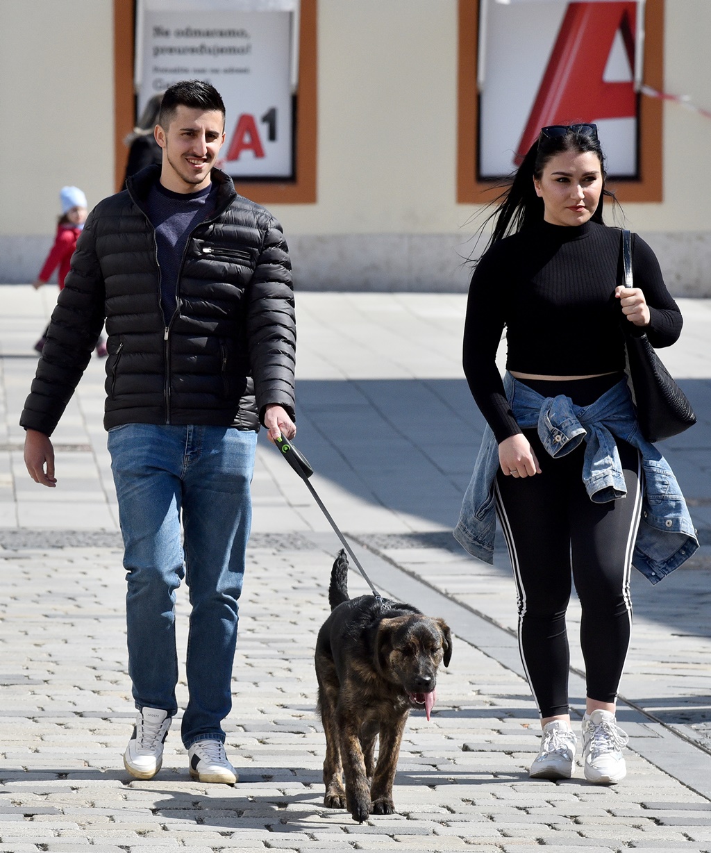 Image 4863666 (auto)