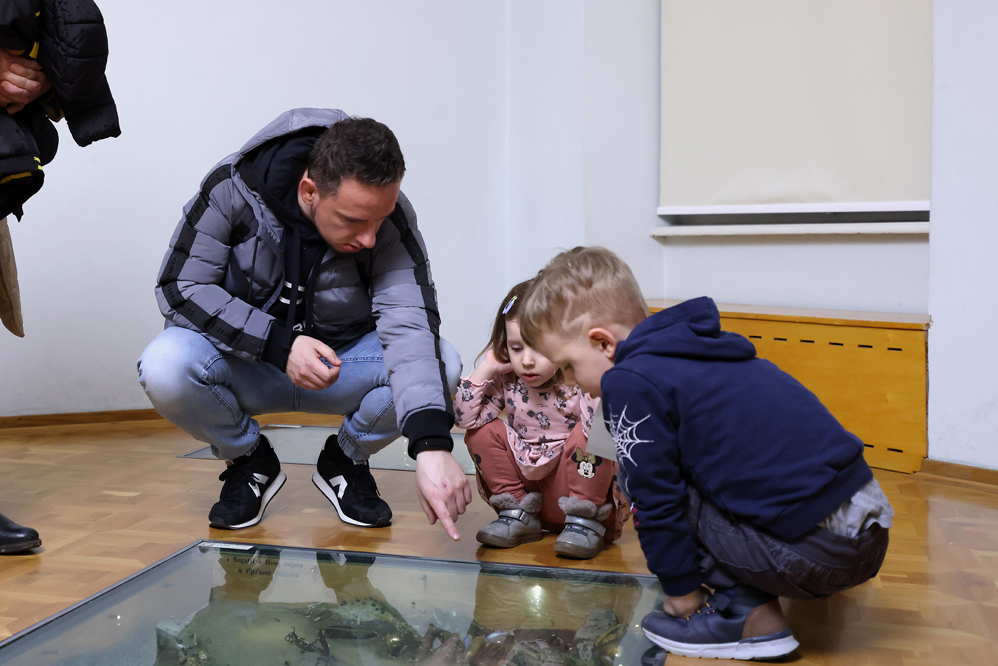 Image 5593241 (auto)