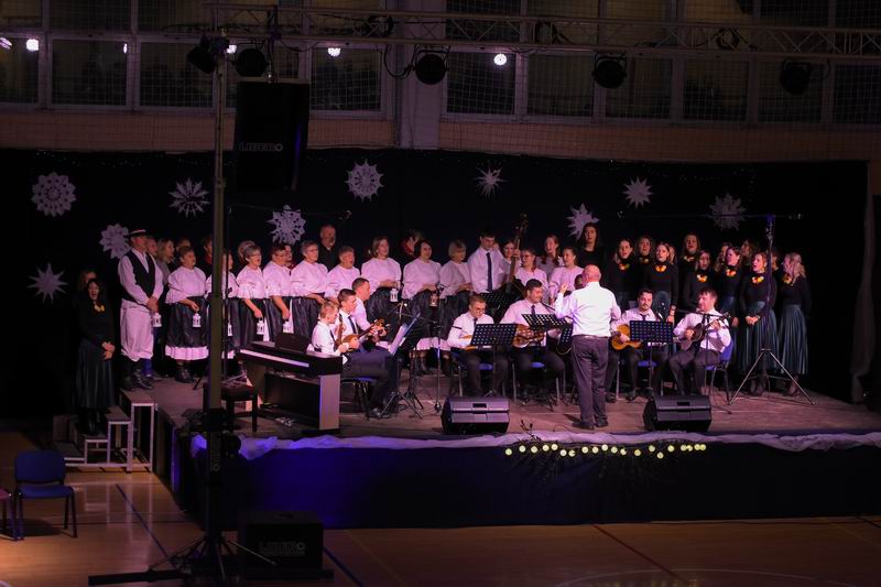 Image 5555805 (auto)