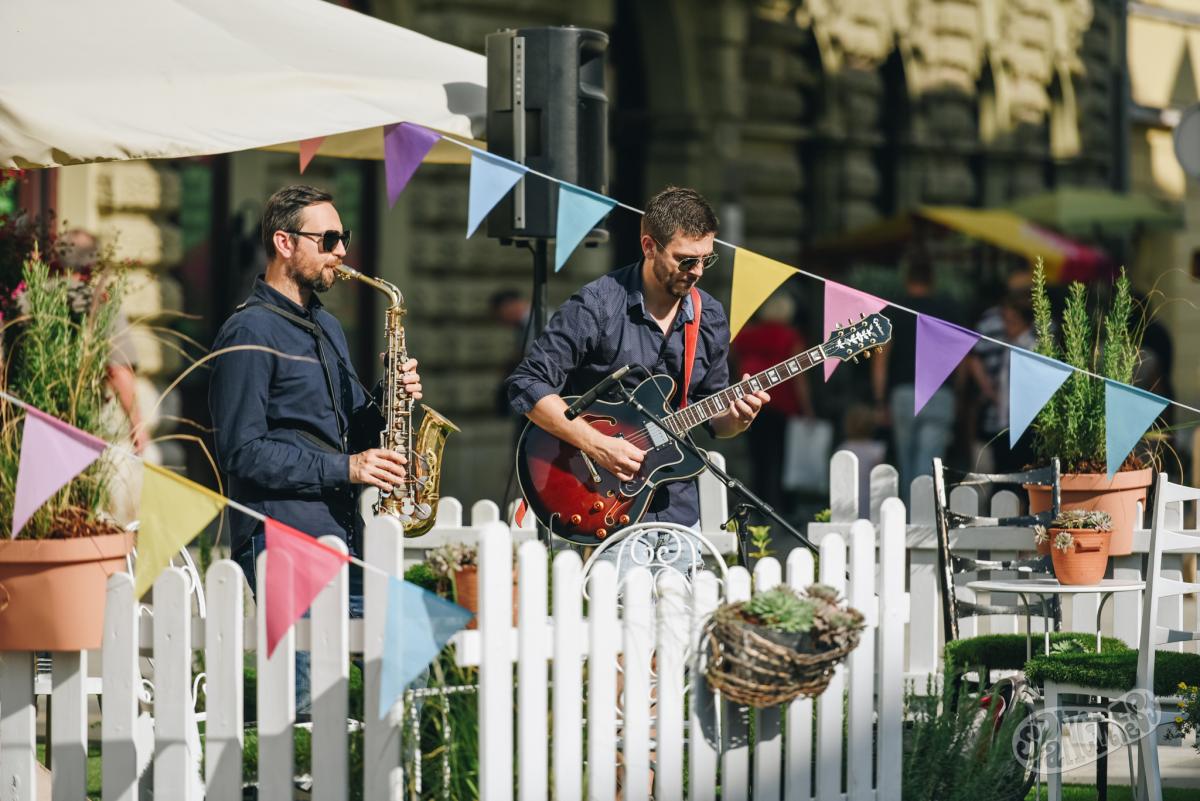 Image 5457384 (auto)