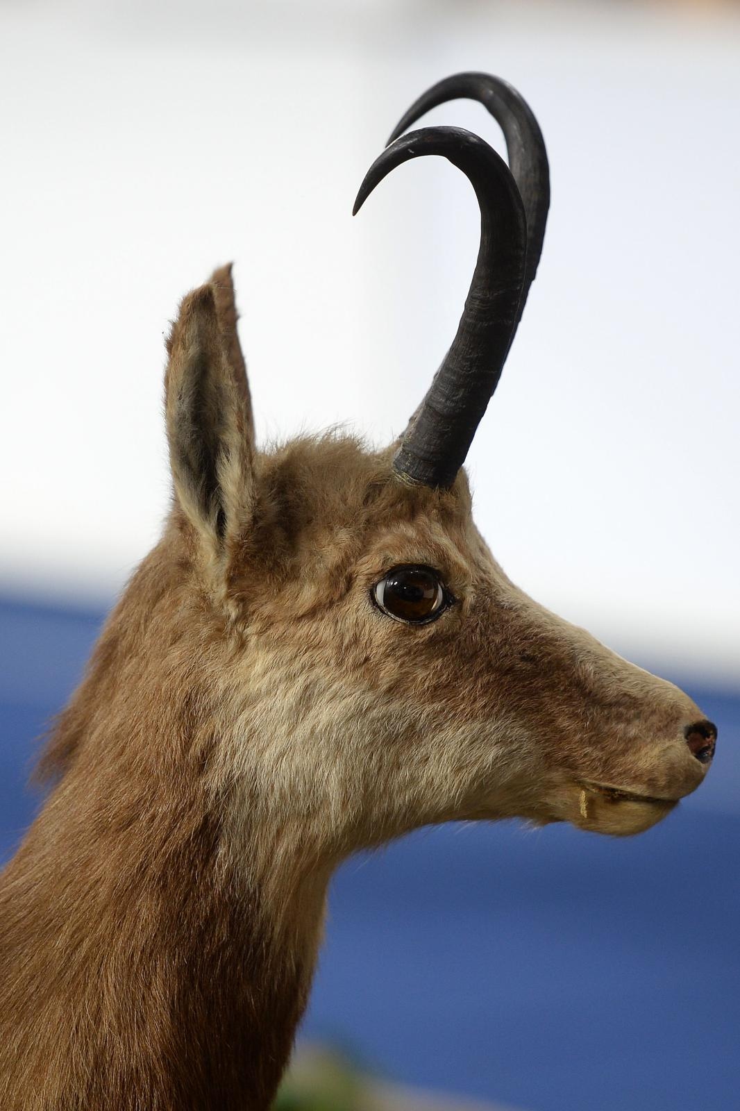 23. Sajam priroda, lov, ribolov, turizam