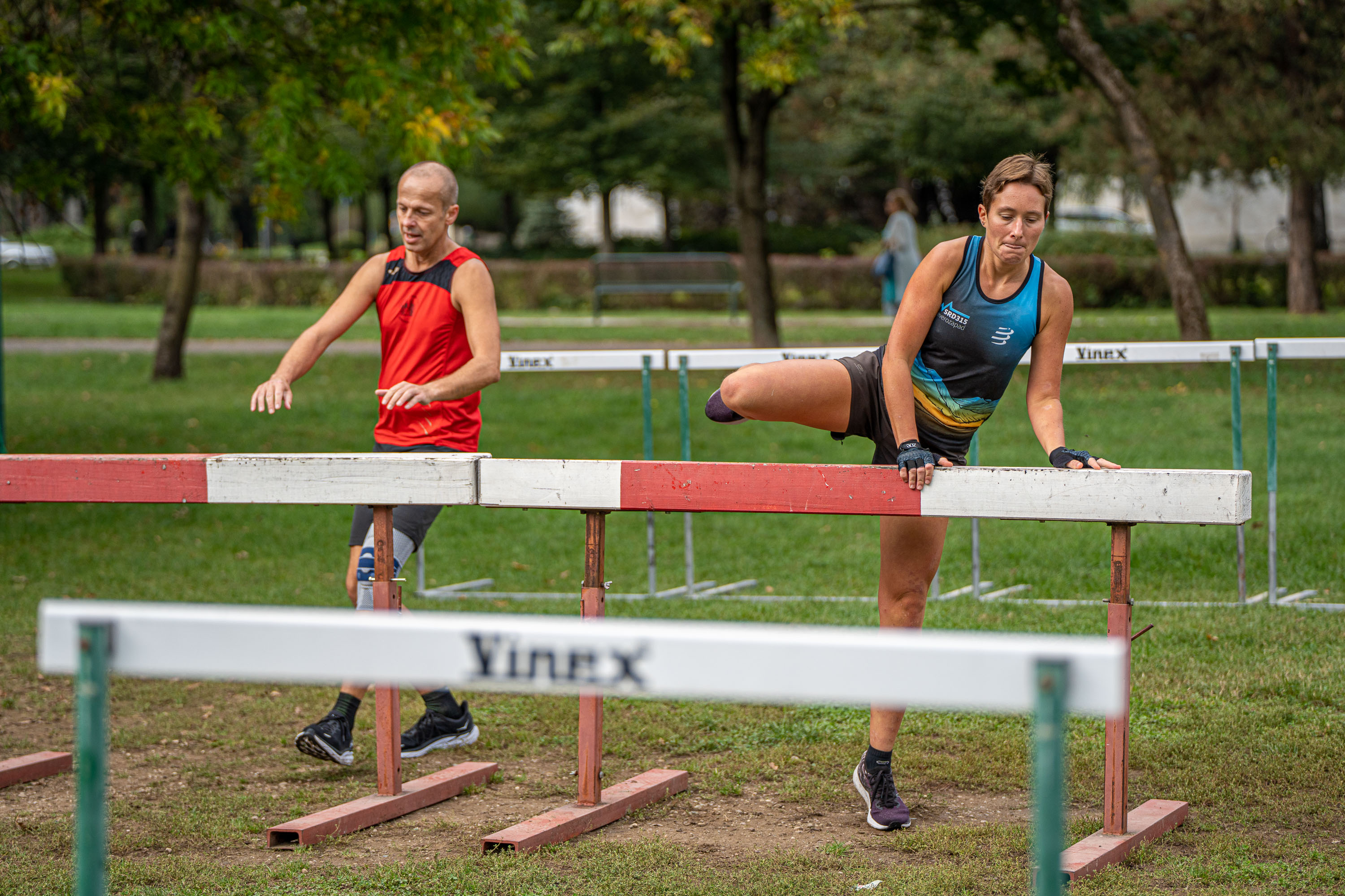 Image 5858481 (auto)