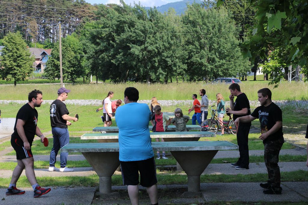 dansportaulepoglavi1357743