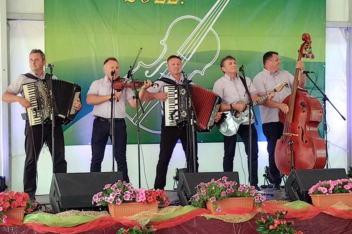 Image 5422896 (auto)