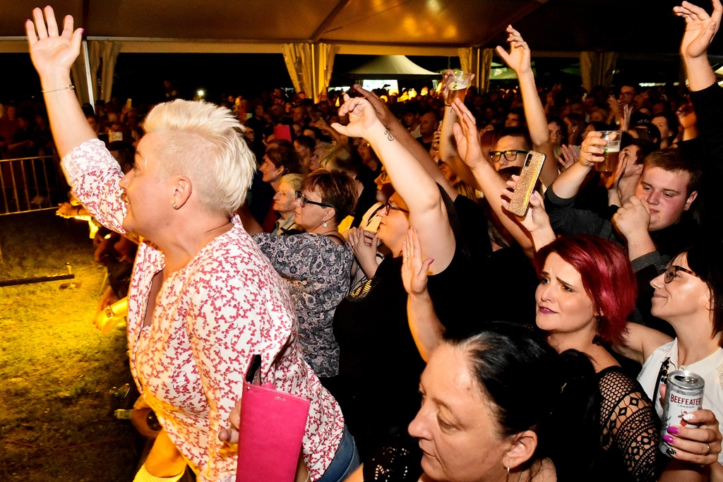 Image 5462330 (auto)