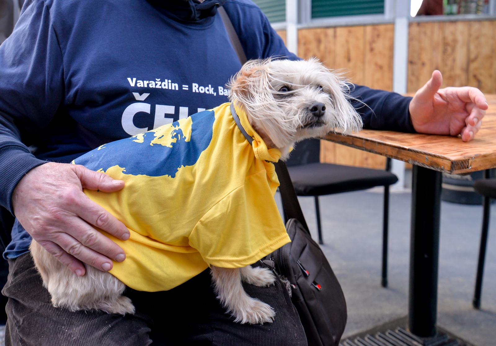 Ivan Čehok, stožer izbori 2021