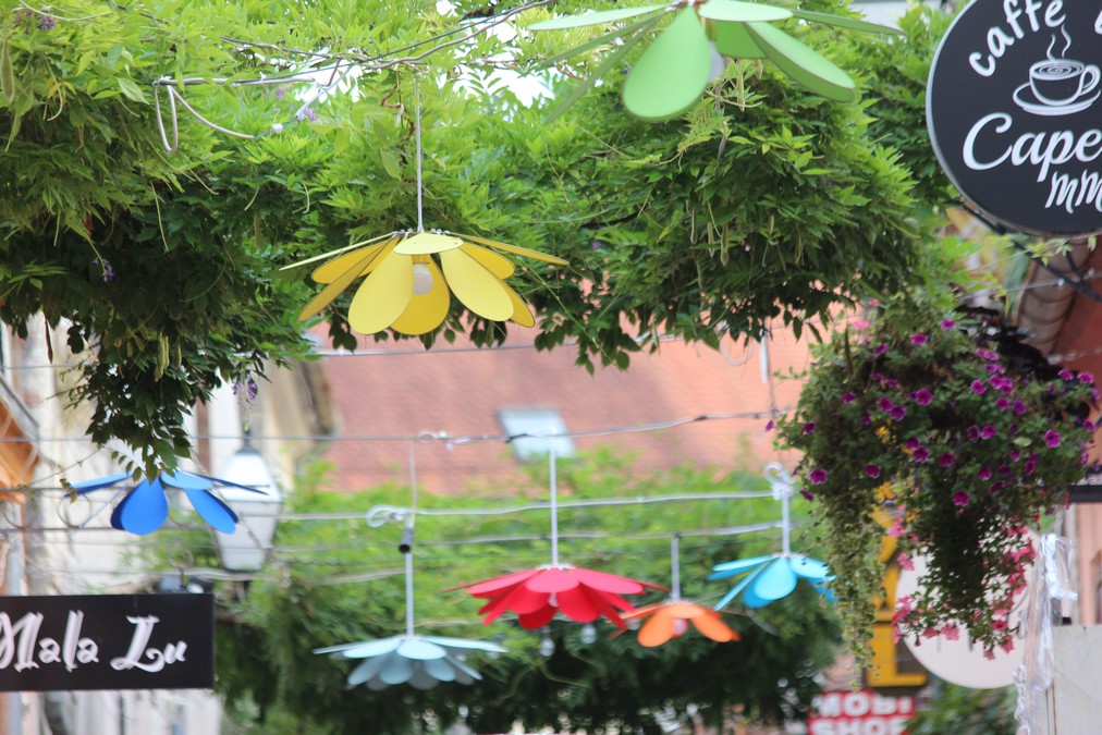 Image 5449726 (auto)