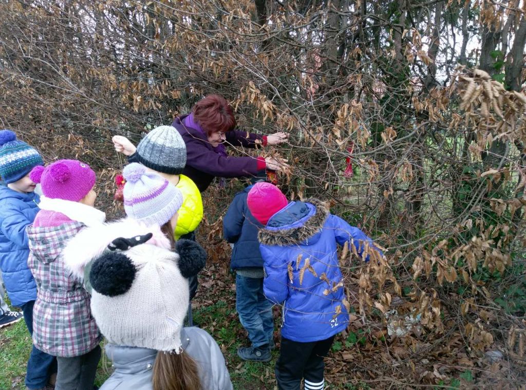 img7aa75275212a4e93631e7e952da8