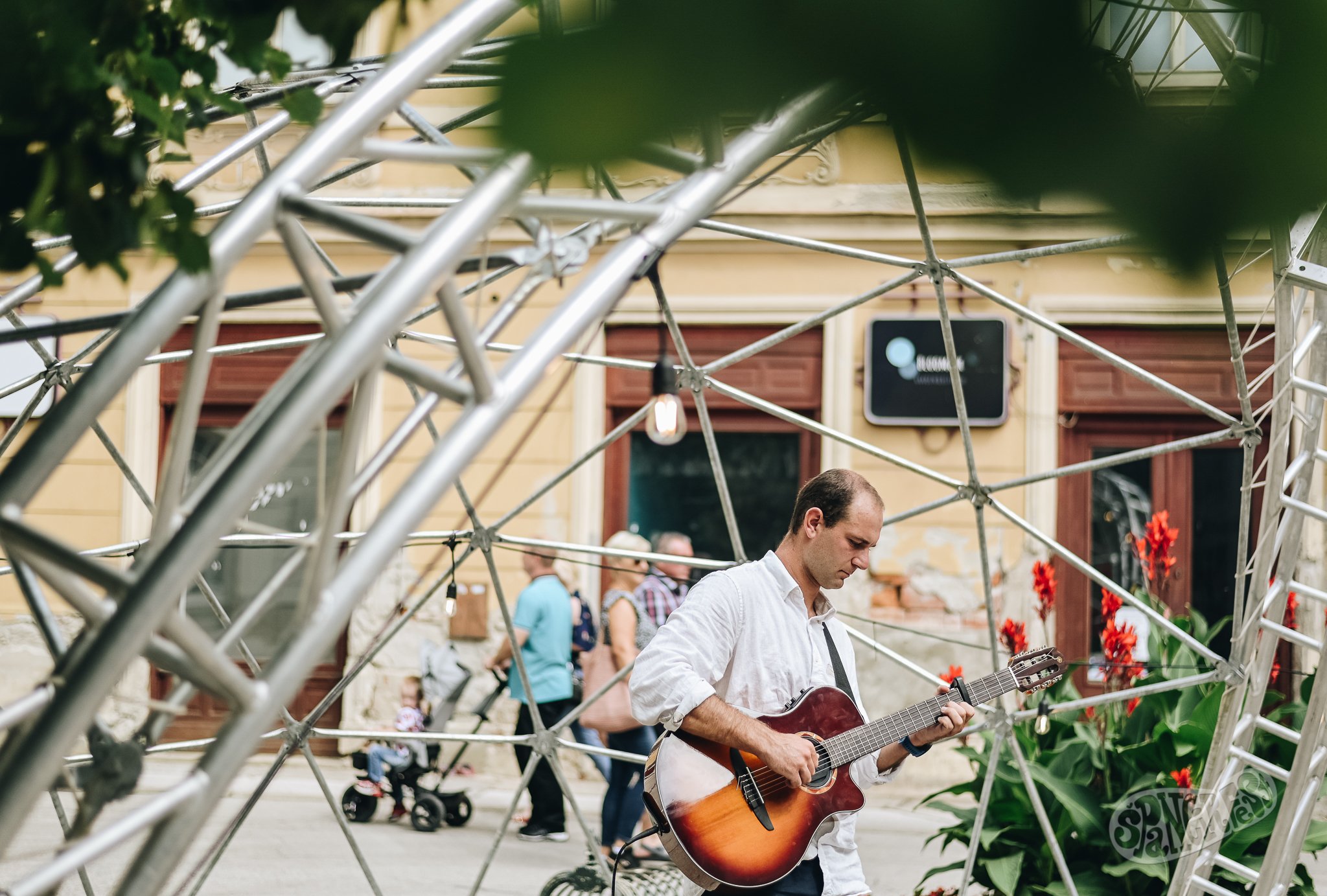 Image 5452724 (auto)