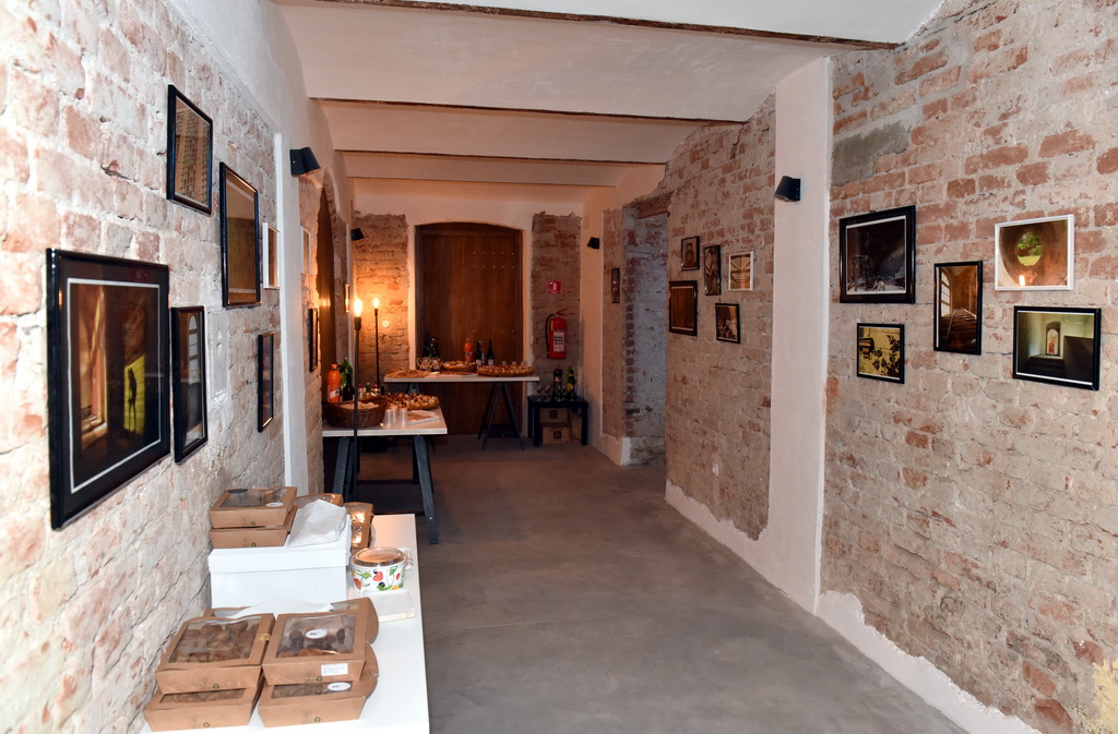 Najšapa Vuk-a, centar za mlade, mladi bude varaždin