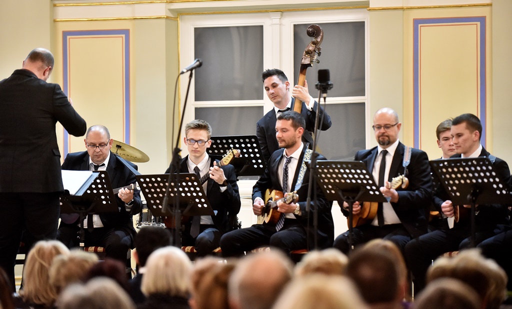 Image 5645021 (auto)