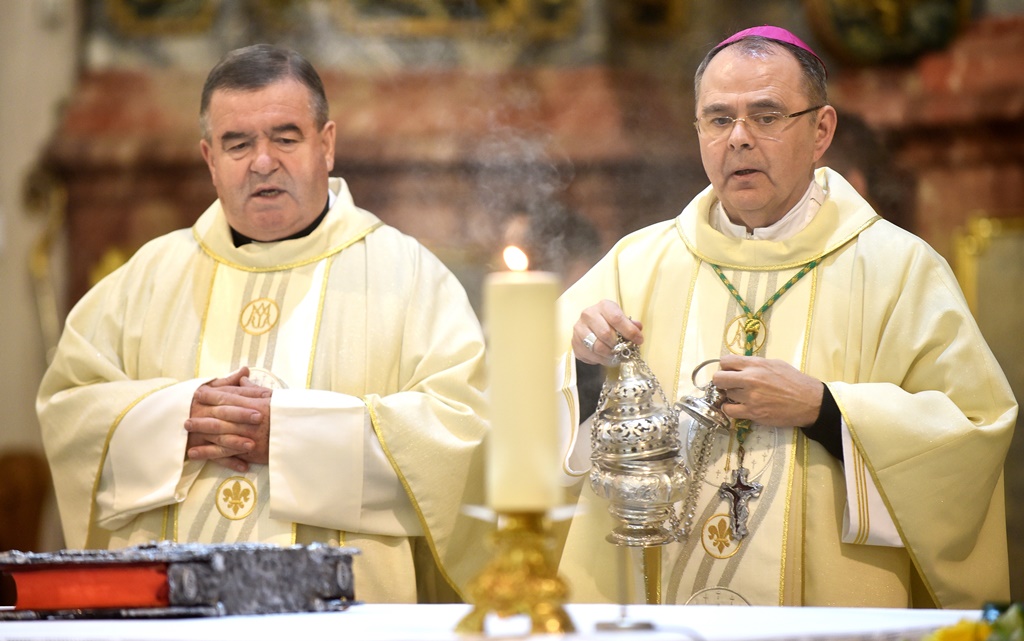 Image 5568783 (auto)