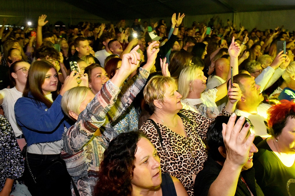 Image 5462312 (auto)