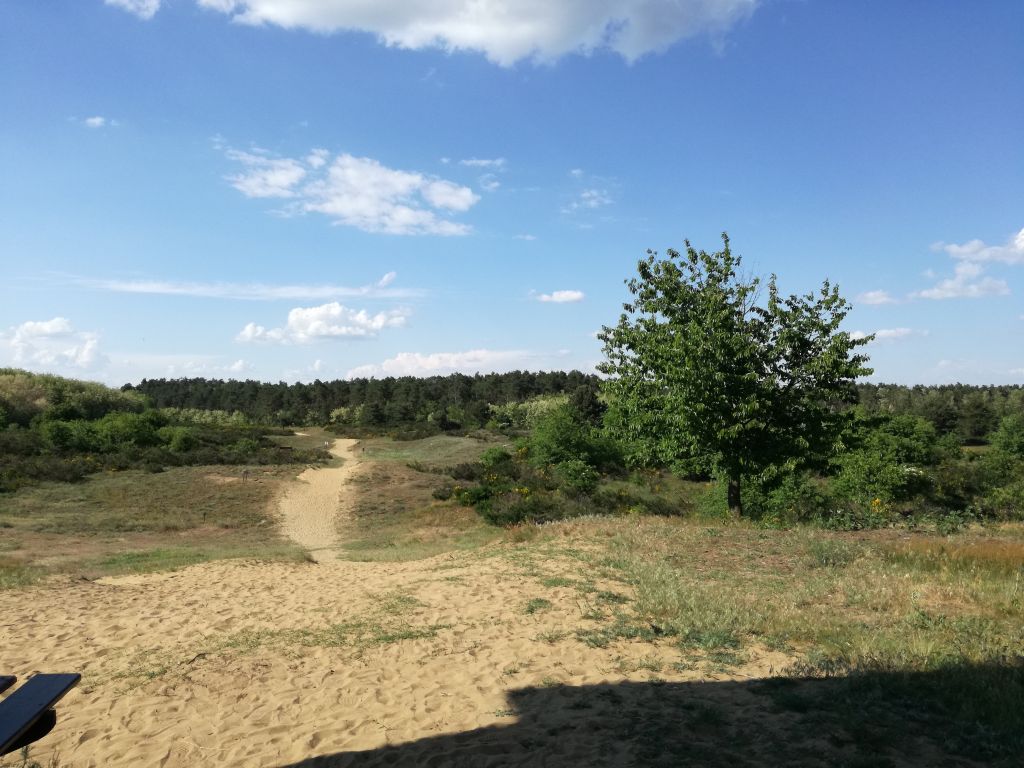 img20180508161220945827