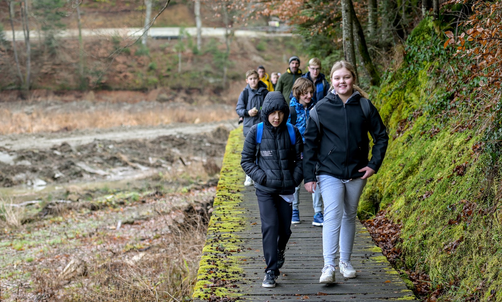 Image 5580861 (auto)