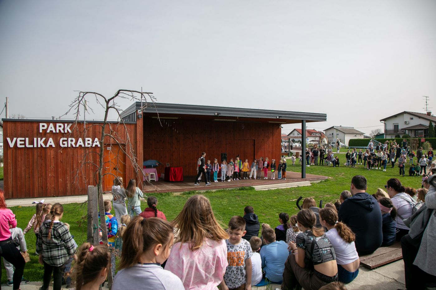 Image 6005819 (auto)