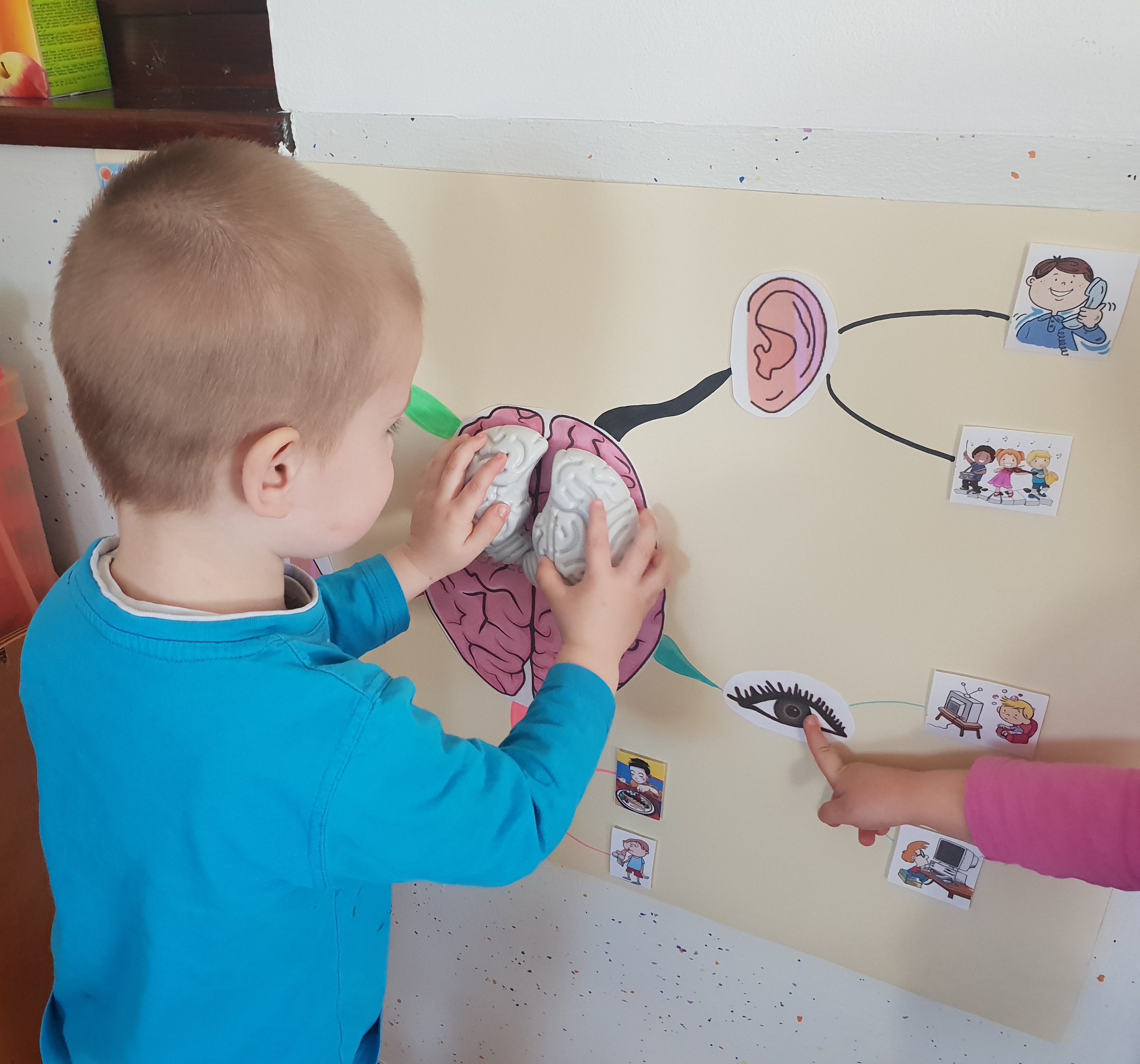 Dječji vrtić Bajka Tjedan mozga