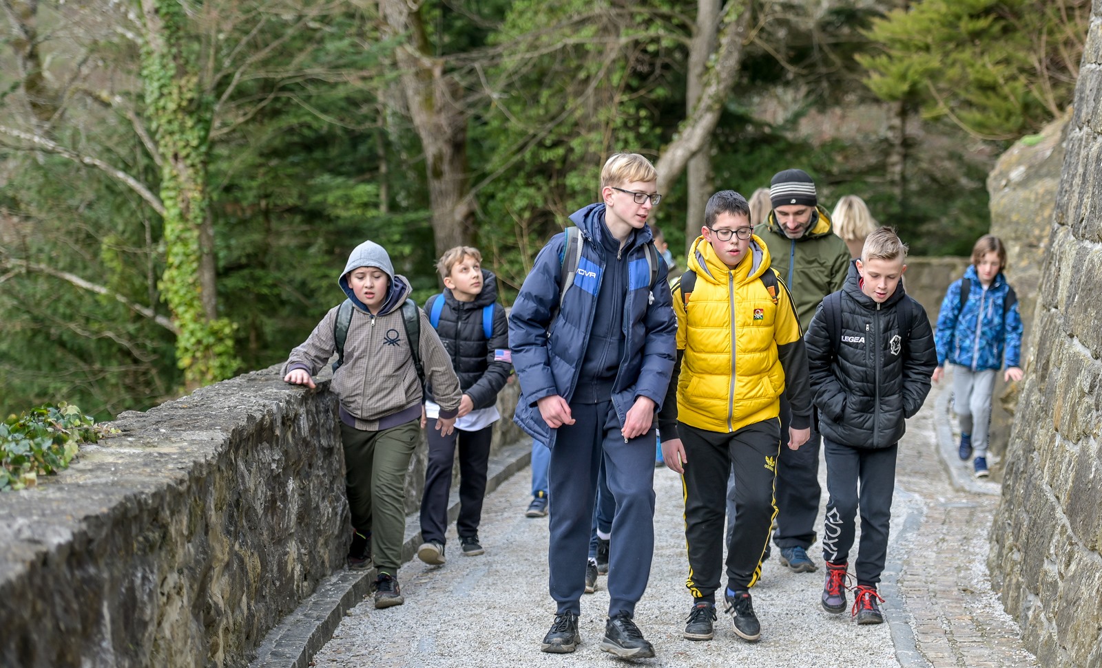 Image 5580869 (auto)