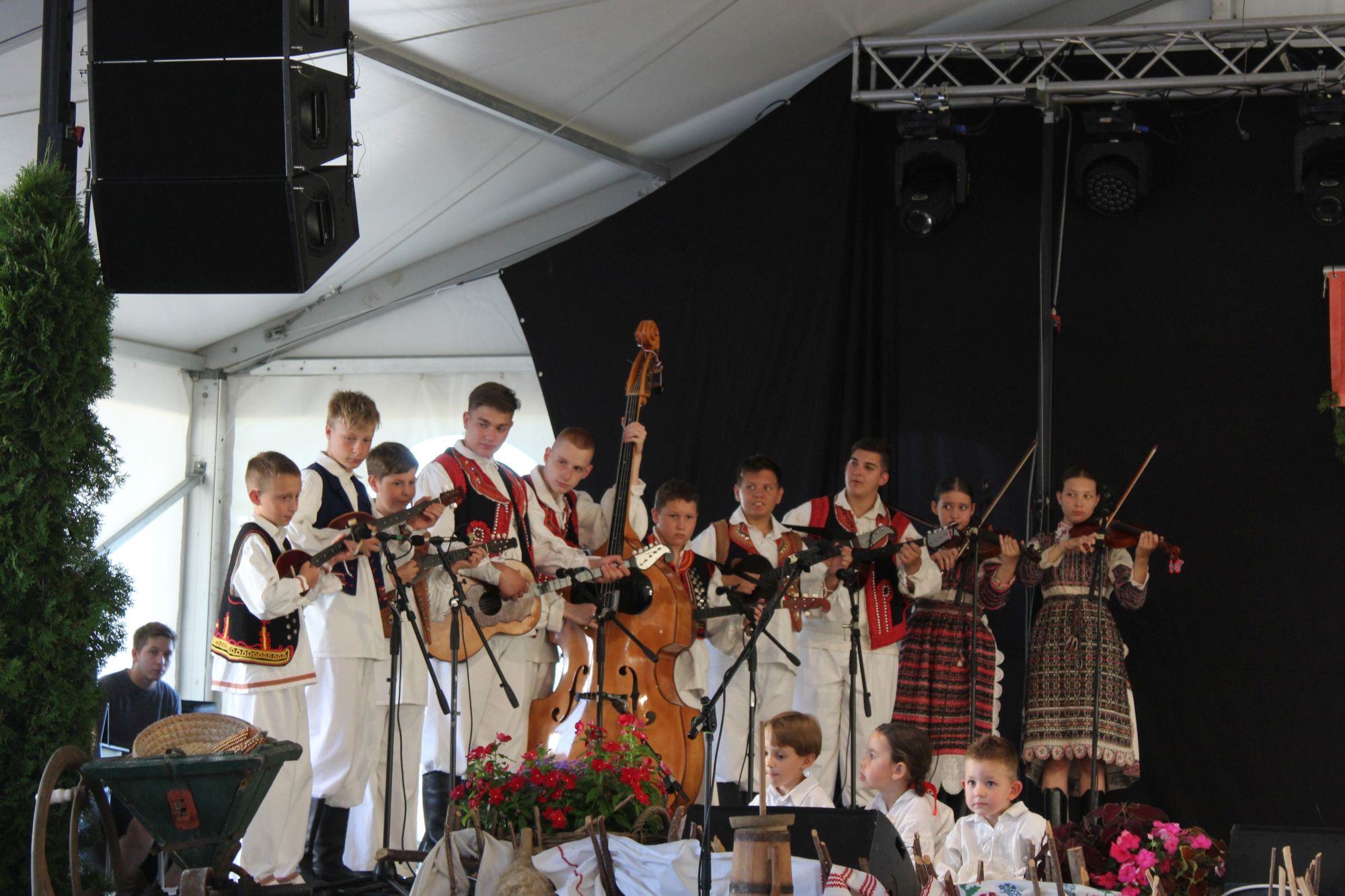 Image 5764585 (auto)