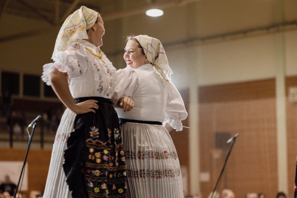 Image 5911857 (auto)