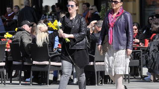 Dan narcisa Dan narcisa