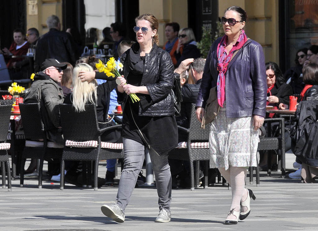 Dan narcisa Dan narcisa