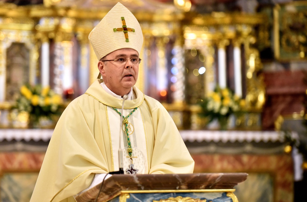 Image 5568805 (auto)