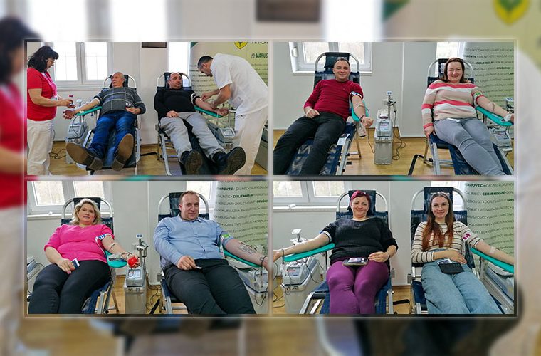 310326-ddk-marusevec-naslovna