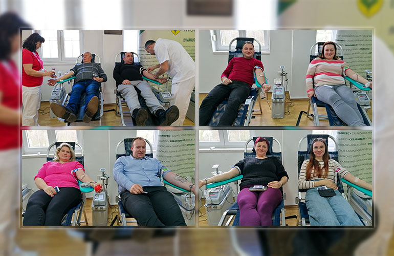 310326-ddk-marusevec-naslovna