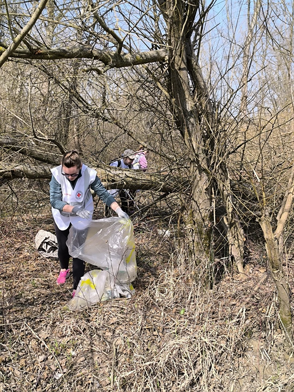 31035880-47e4-47bf-bf0a-1297402f84fd 31035880-47e4-47bf-bf0a-1297402f84fd