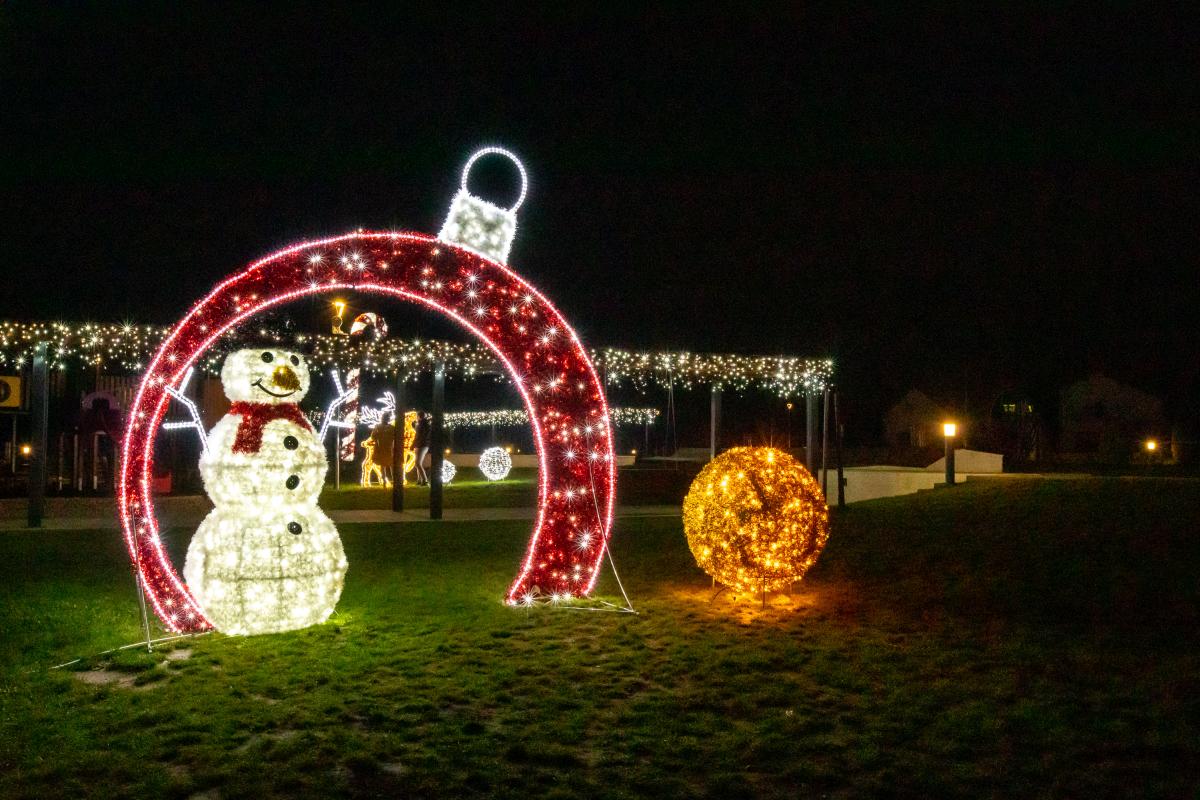 Image 5535258 (auto)