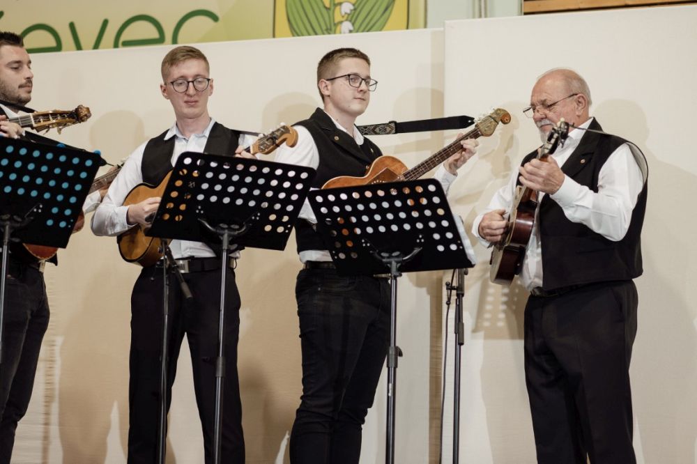 Image 5911793 (auto)