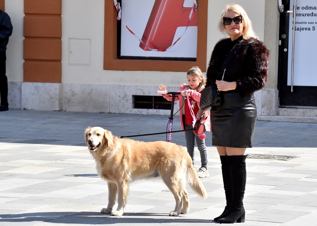 Image 4863618 (auto)