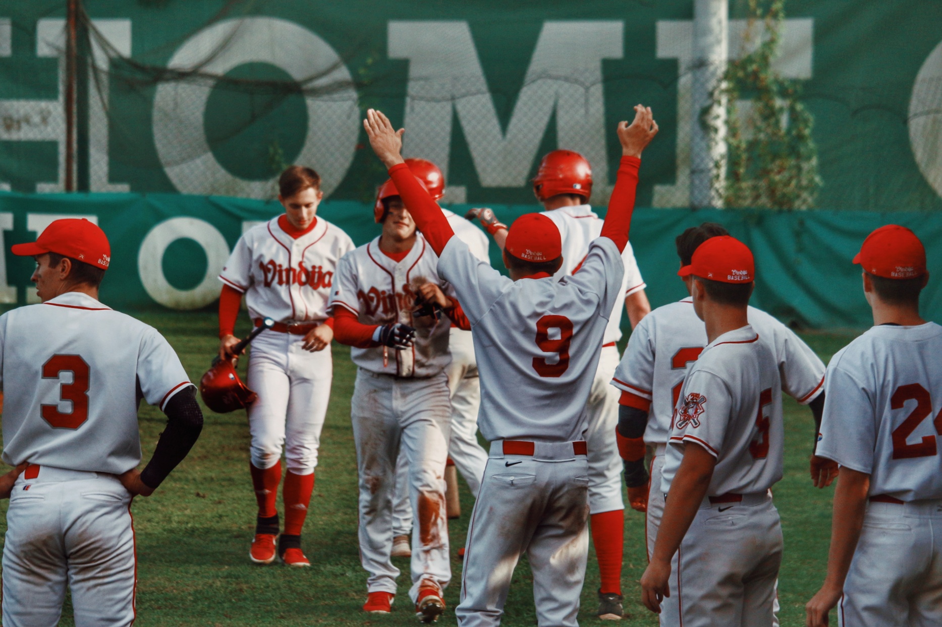 Baseball Vindija Zagreb playott