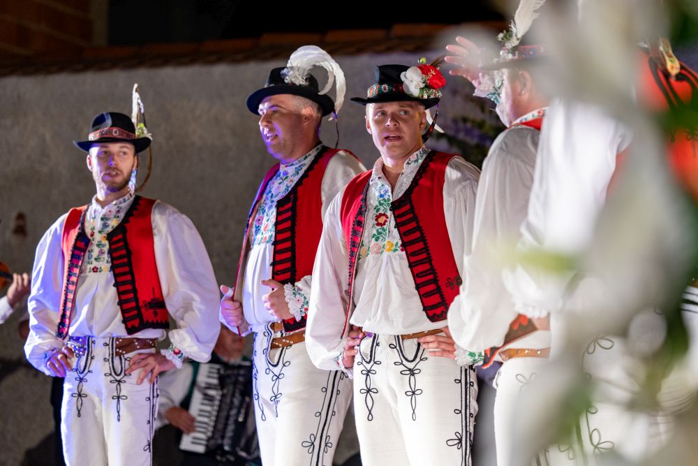 Image 5834275 (auto)