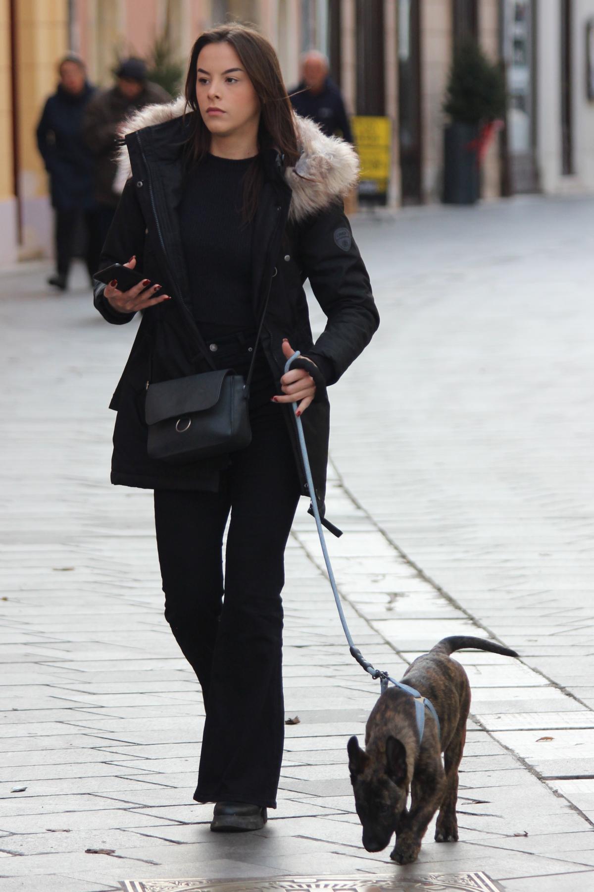 Image 5576383 (auto)