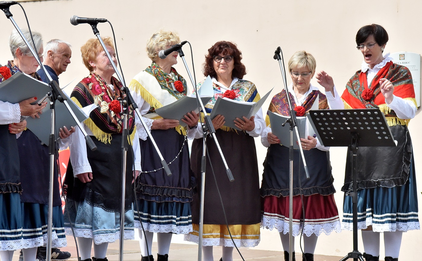 Sloveniija, Dan manjina