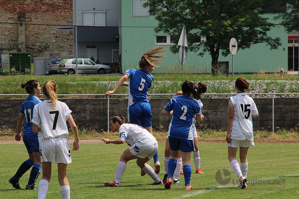 znklepoglavaprvak06247283