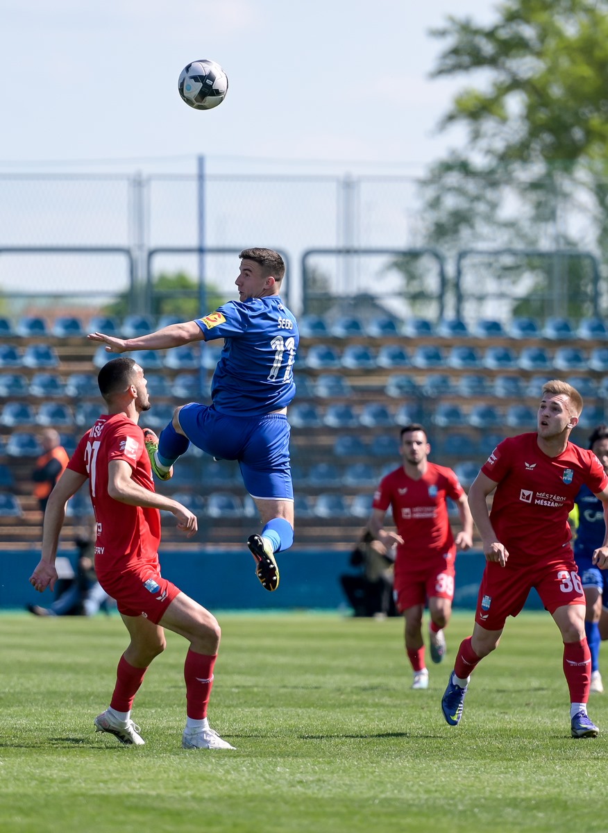 Image 5676615 (auto)