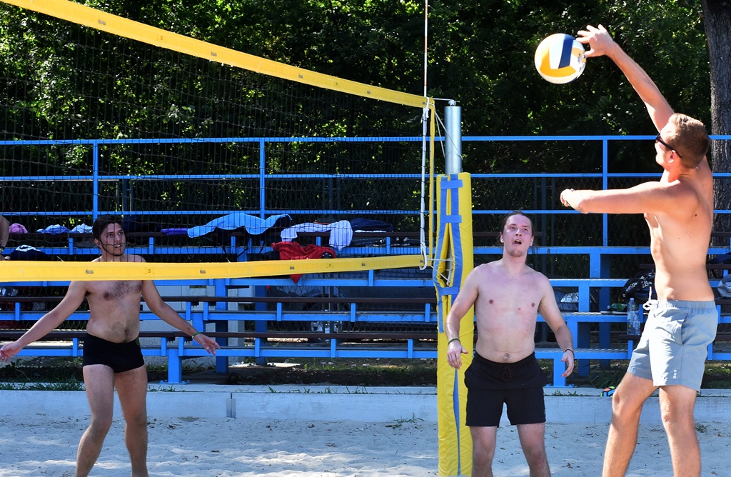 Image 5438990 (auto)