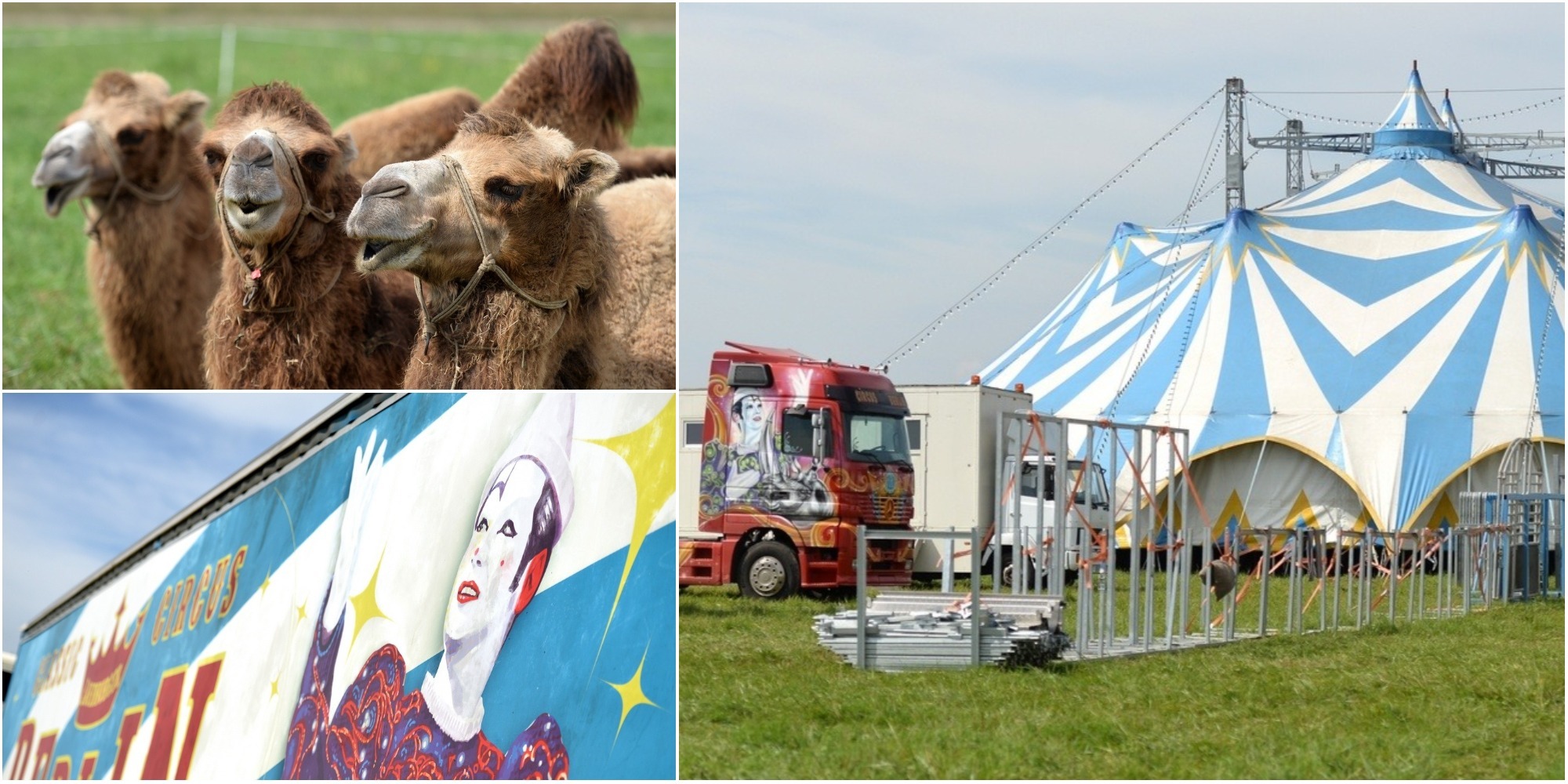 Image 2830163 (auto)