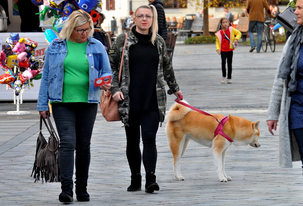Klikom po gradu 27.10.