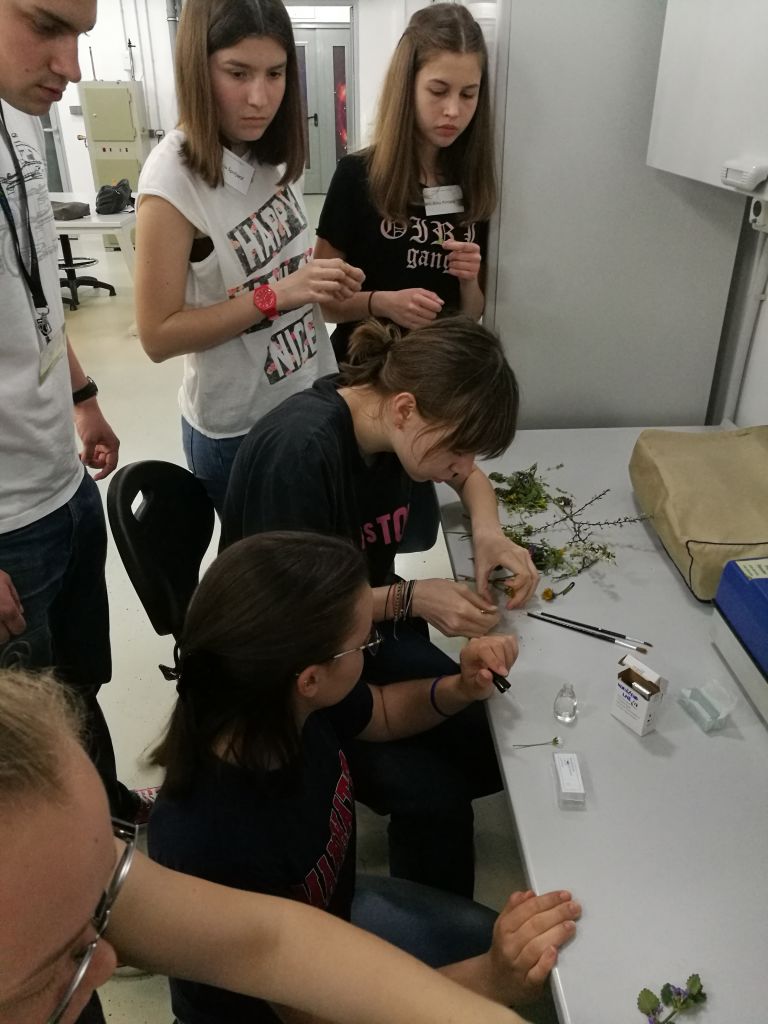 img20180412193101305067