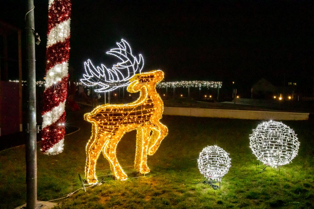 Image 5535266 (auto)