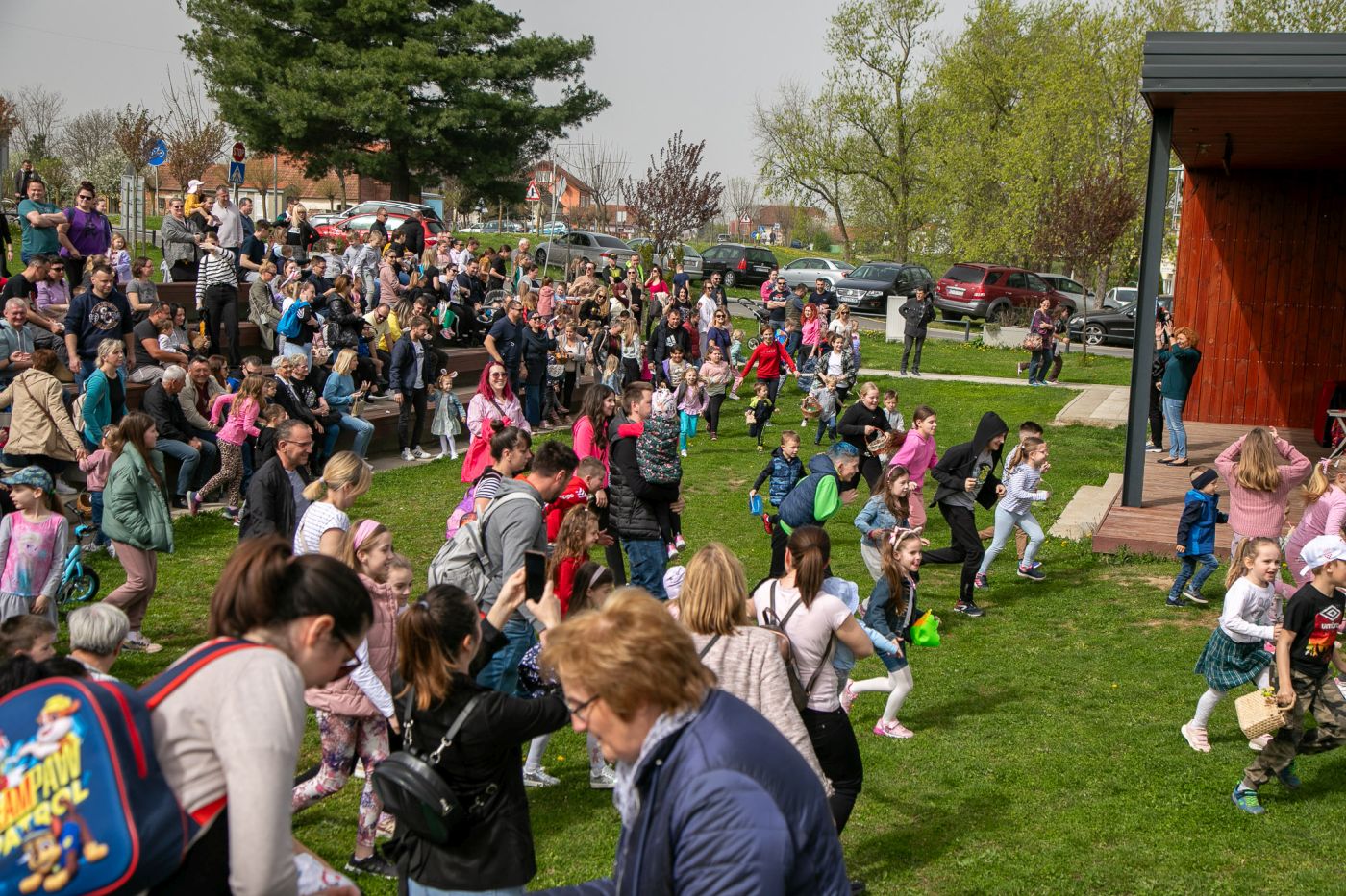 Image 6005827 (auto)